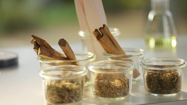 fragrant collection of wood and spice samples