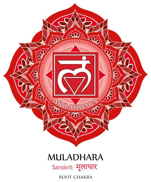 first chakra illustration vector of muladhara