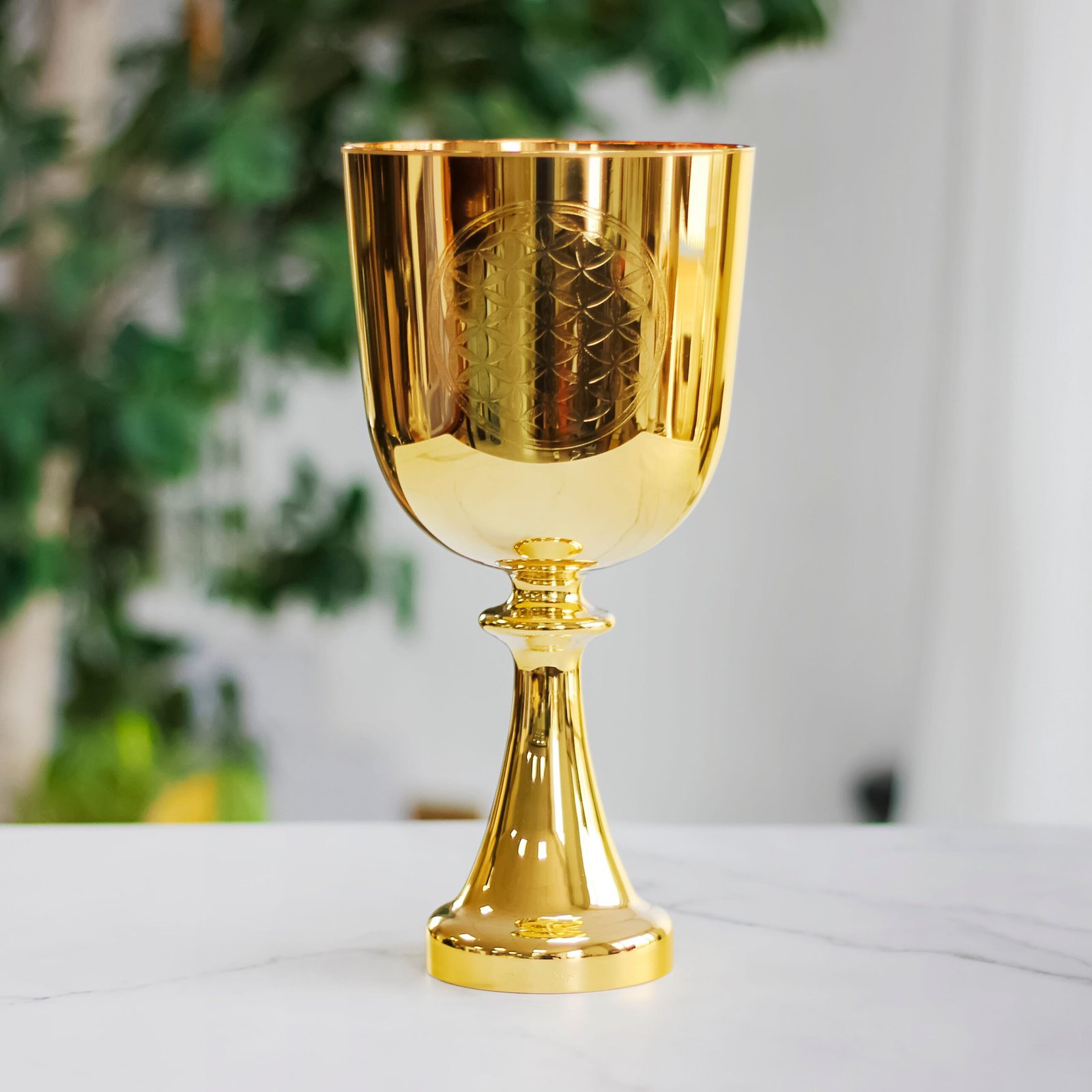 gold holy grail 3 scaled.jpg